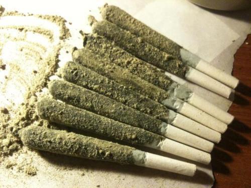 uHighness ™ Kiragh Marlentz