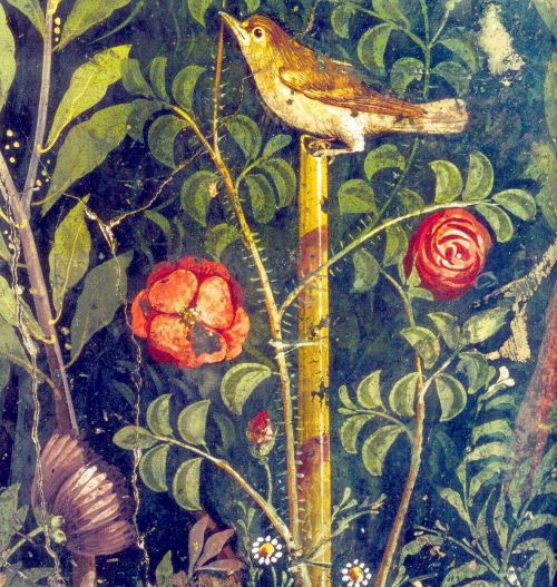 werk1975: Fresco, Garden painting, Pompeii.