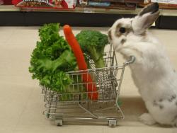 nofoodnolove:  IT’S GOING SHOPPING @moon-cosmic-power  Ommmmfg. ♥