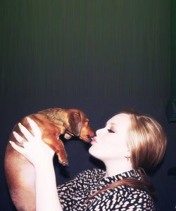 Hugh-Laurious:  Adele-Rolling-In-The-Deep:  That´s So Sweet *-*  That Dog Is So