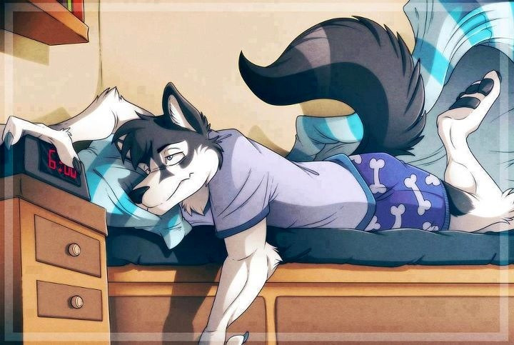 thehuskysdirtybits:  Me this morning XD 