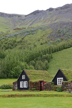 seabois:  Traditional turf farmhouses in Skógar, Southwest Iceland (by daniel.virella).