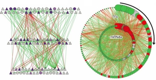 New DNA Encyclopedia Attempts to Map Function of Entire Human Genome - Wired.com