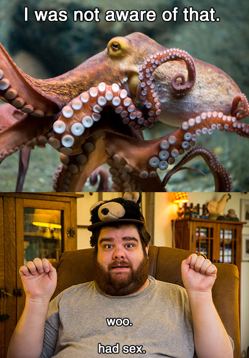 thefrogman:  [Octopus via DaugaardDK] 