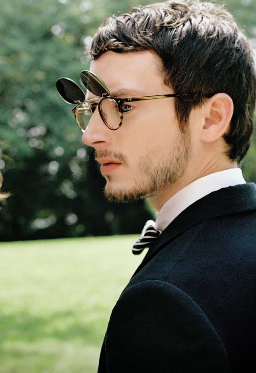 Porn acollectionofwellbehavedbeards:  elijah wood photos