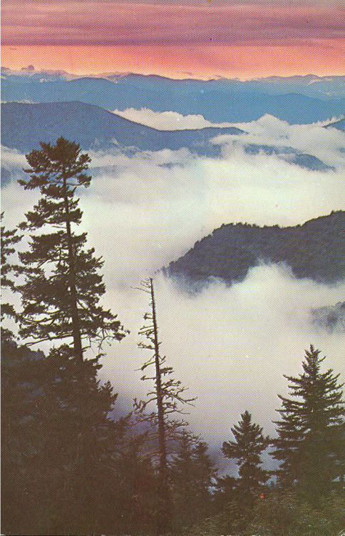 http://cherubesque.tumblr.com/post/78465819461