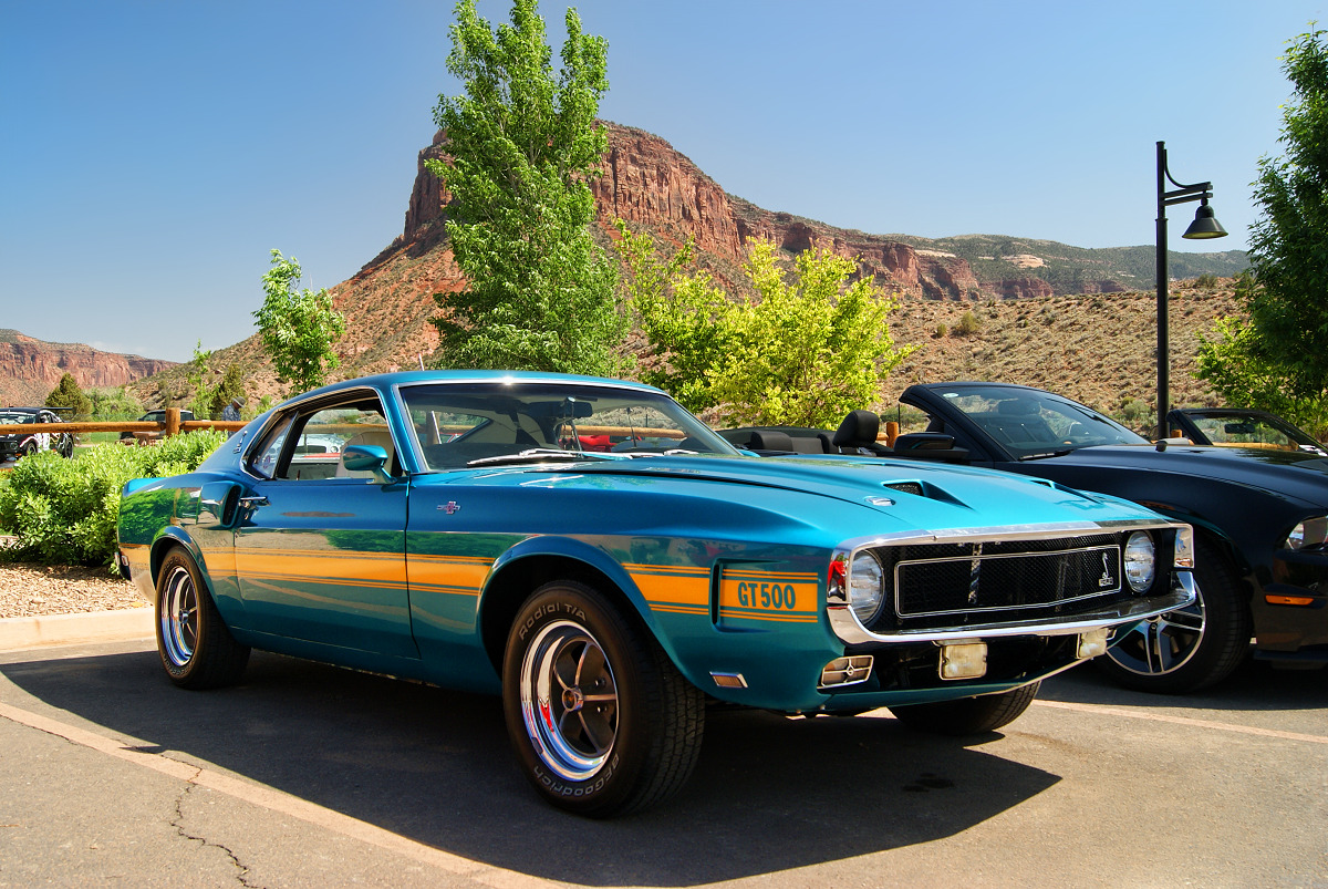 Ford Mustangs