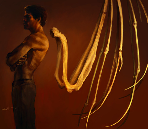 euclase 9 men with wings