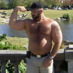 superbears:  UNZIP FOR ME 