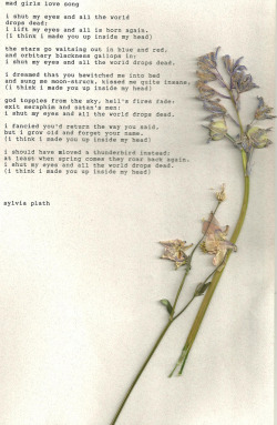 justastrumpet:  Love Plath  Plath just knows