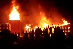 Naturepunk:  Wall Street Burns To Ashes As The Installation’s Creators Watch