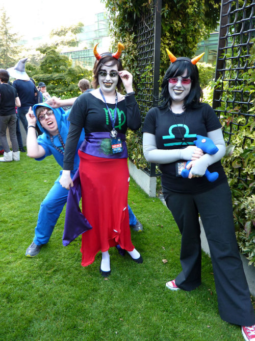 So cosplay. That was a thing I did for the very first time at this years PAX. With the help of a friend who very generously donated her scalemate plush, glasses, and horns, I was able to go as Terezi on Saturday.
So entirely out of my comfort zone,...