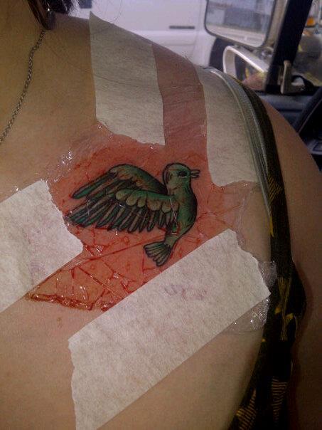 I got a new tattoo XD I love it. To me birds symbolize freedom and Iv resonantly