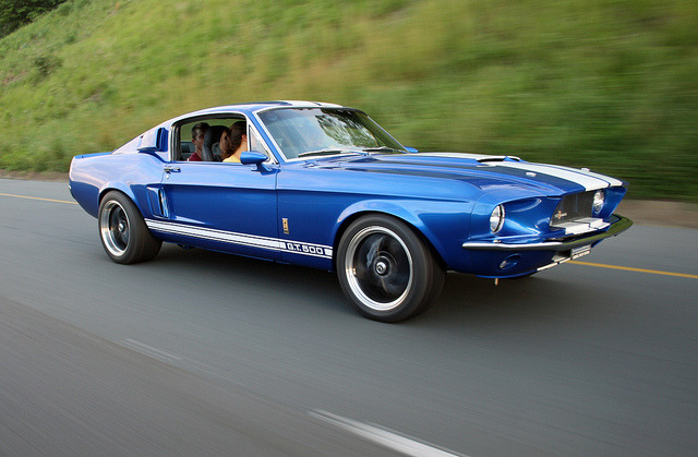 Ford Mustangs