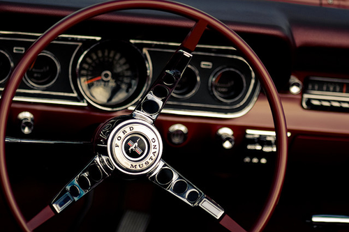Ford Mustangs