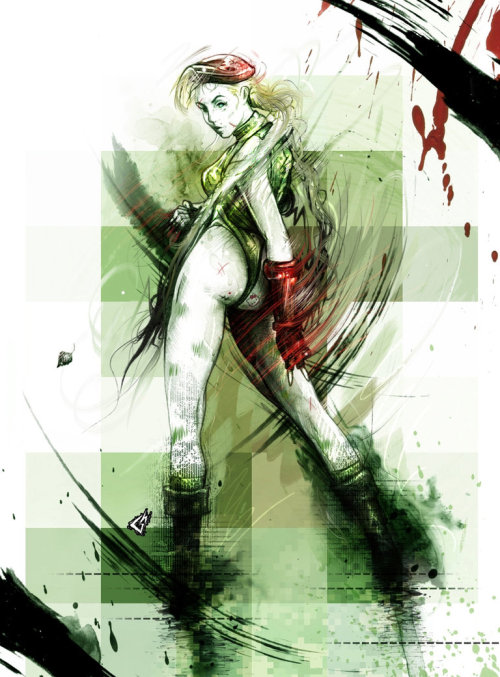 bluedogeyes:  Cammy by Gavin Hargest