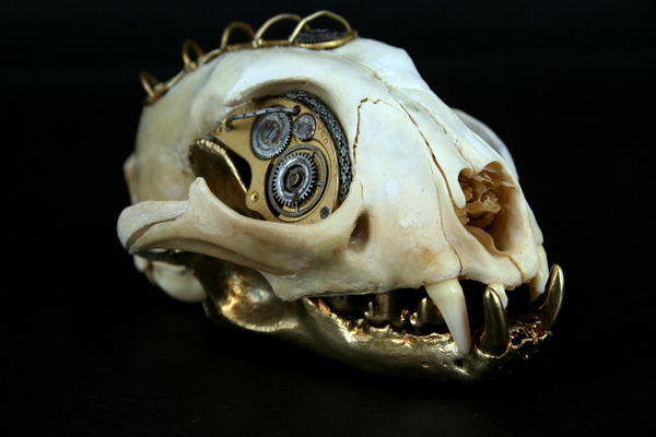 roomahundredyearswide:  These sculptures were made by Lisa Black. She adds in various