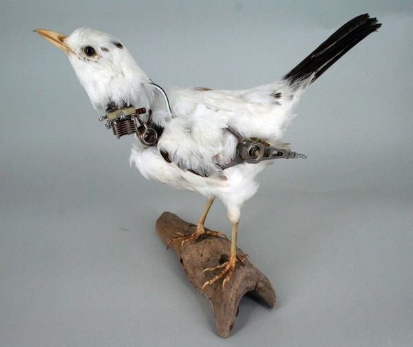 roomahundredyearswide:  These sculptures were made by Lisa Black. She adds in various