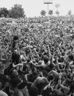 fallenperfections:  Warped :)