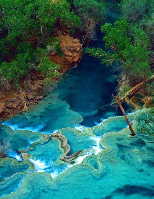 earthlynation:  havasu falls, arizona source adult photos