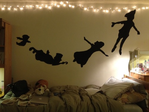 everybodys-starrry-eyed:  omg i want this wall 