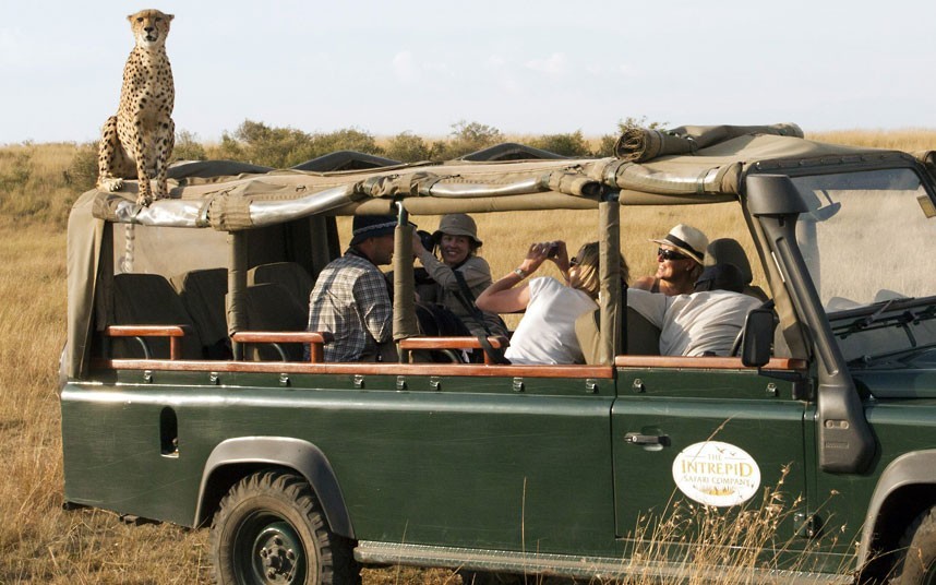 theanimalblog:  A tour group got the shock of their lives when a cheetah climbed