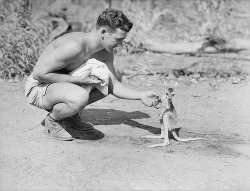 fuckyeahvintage-retro:  An American soldier with a joey. Australia c.1942 (via) 