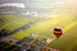 truevietlove:  Hot Air Balloon over Napa