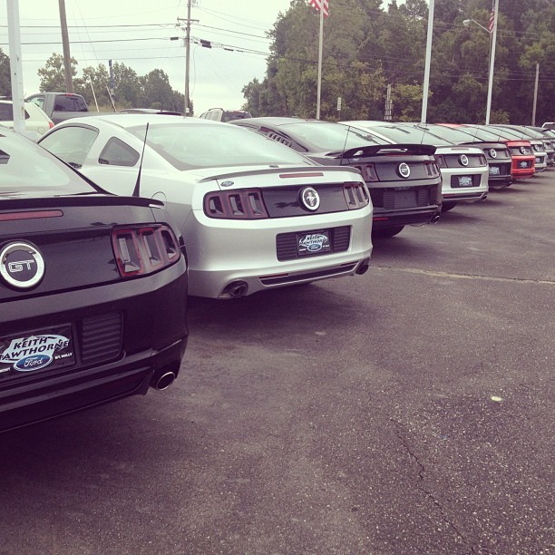 shanney-lynn:  #mustang #love (Taken with Instagram) 