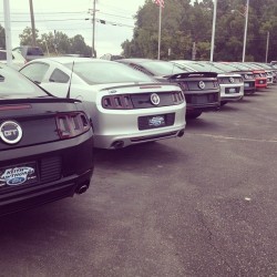 shanney-lynn:  #mustang #love (Taken with