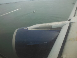 redvinesandtranslucentwords:  I’M HOOOOMMEEE. For those of you who have never been to Massachusetts… landing at Logan Airport is horrifying in every single way. Like, look at that. WE’RE LIKE ABOUT TO LAND IN THE FUCKING HARBOR. Why do I live here?