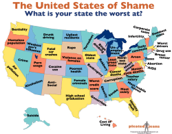 ninjas-in-a-box:  novas-grimoire:  mapsontheweb:  What is your state the worst at?  Wait…my state is known for Arson?  I hear more about shootings on the news than I do arson…  porn usage? HAHAHAHAHAHAHAHA  Nerdiest State. Seems about right seeing