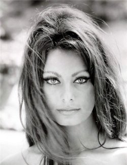 retrogirly:   Sophia Loren  