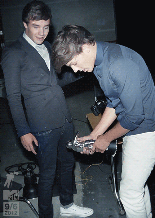 whadduponedirection3:  i spent 5 minutes looking at it , and im truly confused. they look like, fake. 