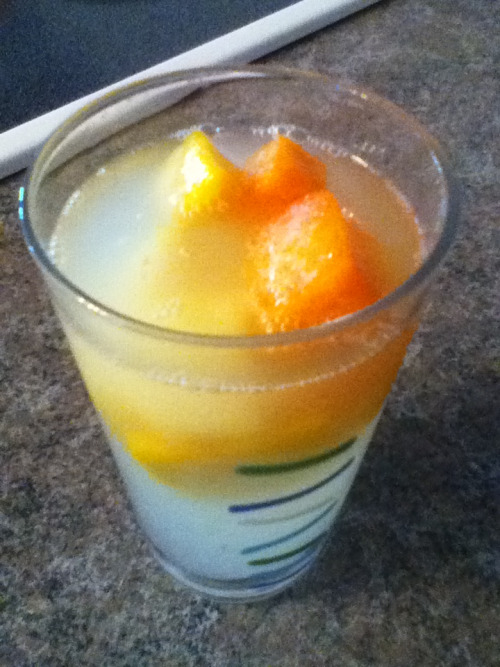 Today I used frozen melon and pineapple as my ice cubes in my Fresca!! Give it a try, it&rsquo;s