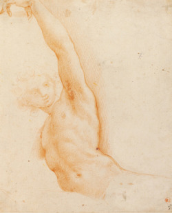 necspenecmetu:  Cristoforo Roncalli (Il Pomarancio), Half-Length Study of a Youth with a Raised Left Arm, c. 1609 