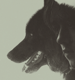 rainwoods:  got meme → eight friendships and/or otps {1/8}  Sansa &amp; Arya  &nb