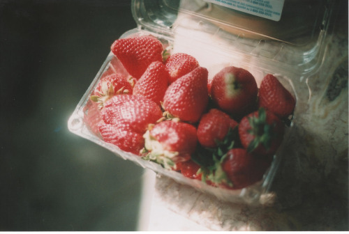 vintag3foods:  panis angelicus. (by Cheney.) 