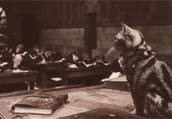 mudbloodincendio:   the magic begins ϟ Favorite Professor  Minerva McGonagall 