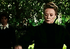 mudbloodincendio:   the magic begins ϟ Favorite Professor  Minerva McGonagall 