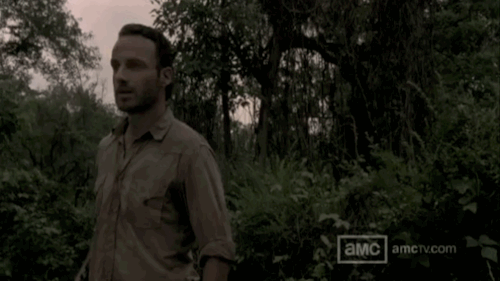 kcruise:Le Wild Daryl Appears!Sorry, I had to, it’s from the season 3 trailer. Oh hello Rick, lookin