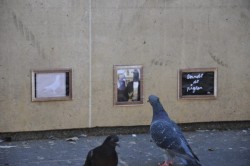 ungrammaticality:  archiemcphee:  This art is for the birds! A street artist by the name of Combo created an awesome open-air art exhibition specifically for pigeons. Not only are the pieces pigeon-sized and placed at the birds’ eye level, they’re