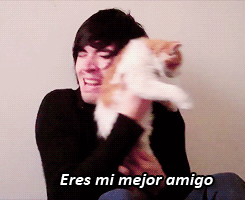 GATITO DE CRISTAL