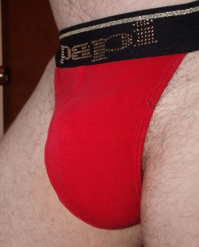 Gordo Underwear