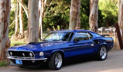 justoldmustangs:  Blue, 1969 Fastback Ford