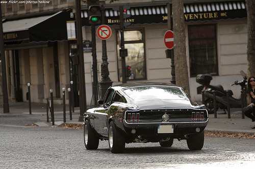 Ford Mustangs