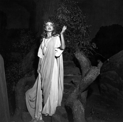 Norma, 1954.