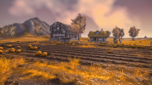 serene-flight:  Westfall: Furlbrow’s Pumpkin Farm 