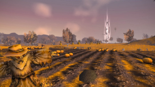 serene-flight:  Westfall: Furlbrow’s Pumpkin Farm 