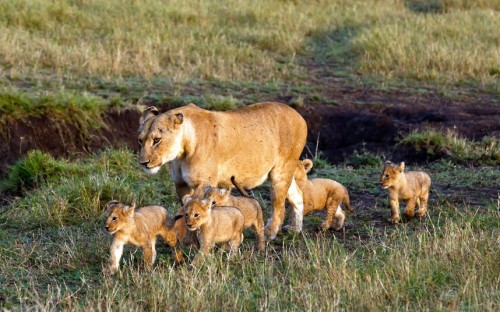 Picture: Paul Goldstein / Rex Features